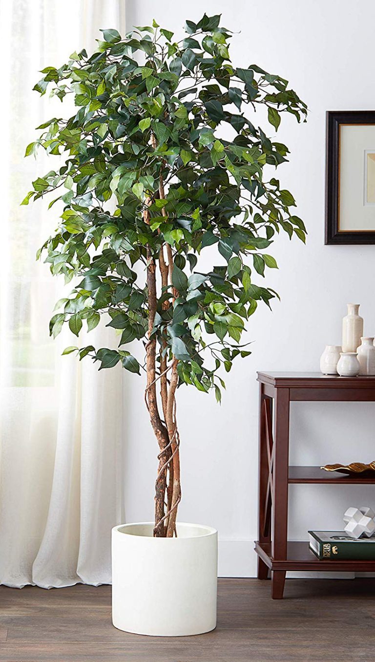 The Best Artificial Trees for Indoors for 2022 Comfy Zen